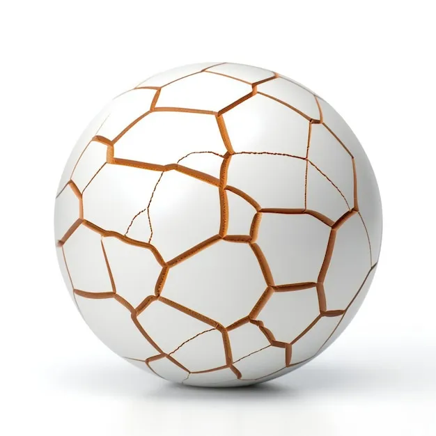 乐鱼体育 体育盛事